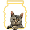 CryptoJar